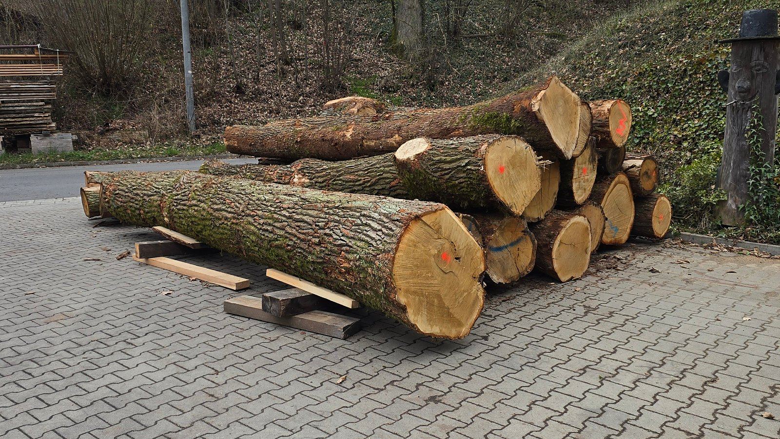 Gestapeltes Stammholz am Waldrand bei Ansbach, dahinter Mischwald